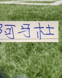 开云平台-第一轮外援中场大腿 没想到前申花外援阿马杜回春了！